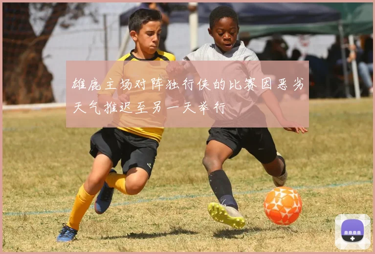 雄鹿主场对阵独行侠的比赛因恶劣天气推迟至另一天举行