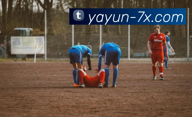 奖项证书